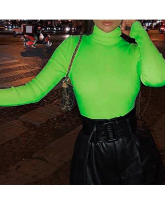 Lovely Casual Turtleneck Skinny Green Sweater