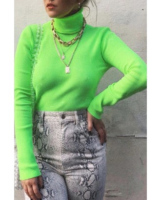 Lovely Casual Turtleneck Skinny Green Sweater