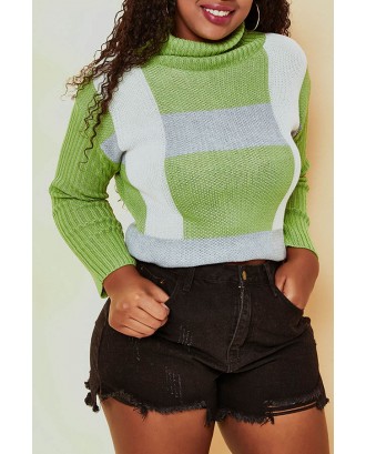 Lovely Casual Turtleneck Green Sweater