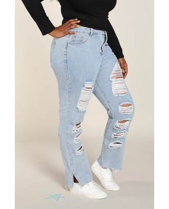 Lovely Casual Broken Holes Baby Blue Plus Size Jeans