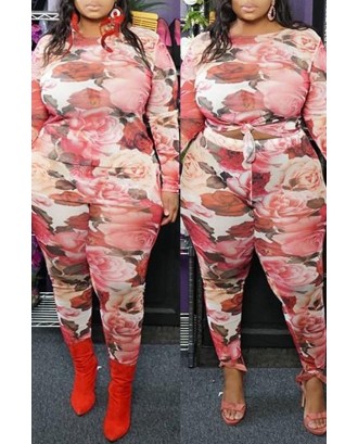 Lovely Casual Printed Pink Plus Size Two-piece Pants Set