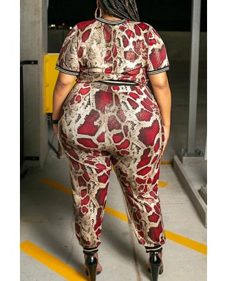 Lovely Casual Printed Multicolor Plus Size Two-piece Pants Set